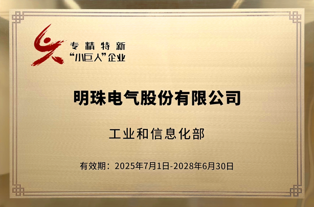 公司奖项